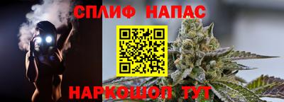 амф Тула